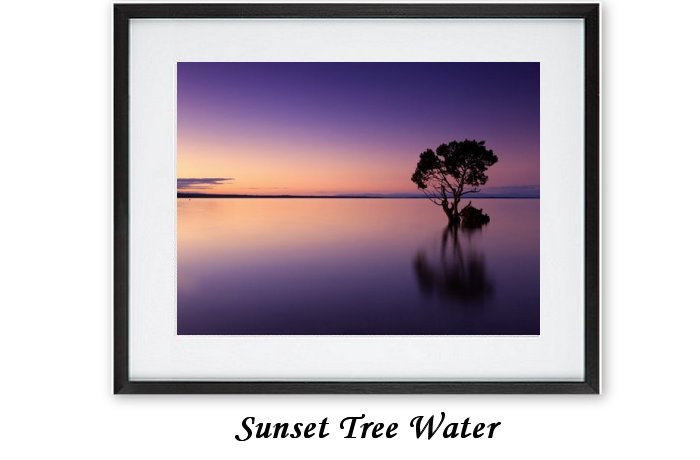 Sunset Tree Water Framed Print